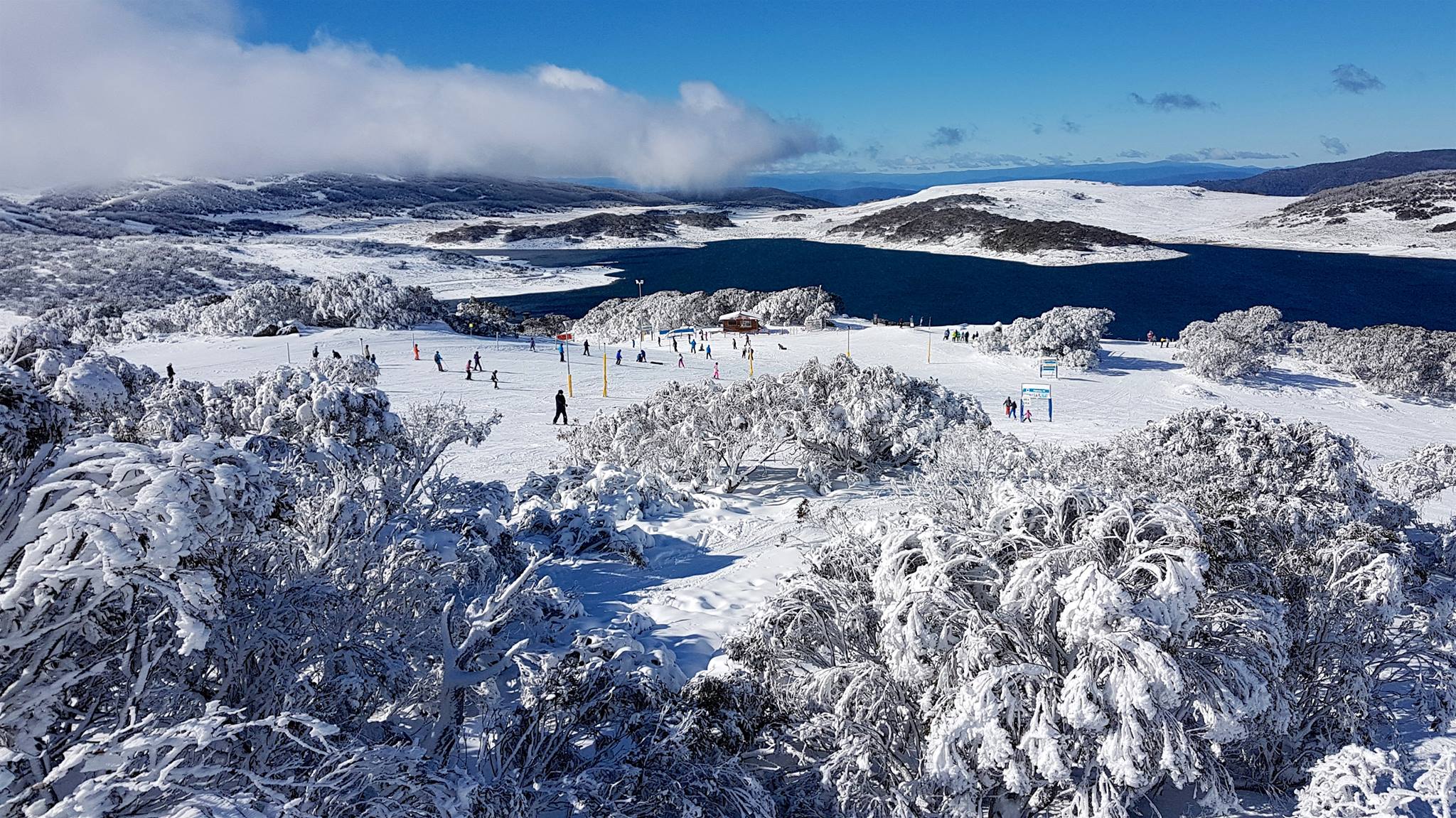 Falls Creek 스키장 같이가실분 구합니다!!!