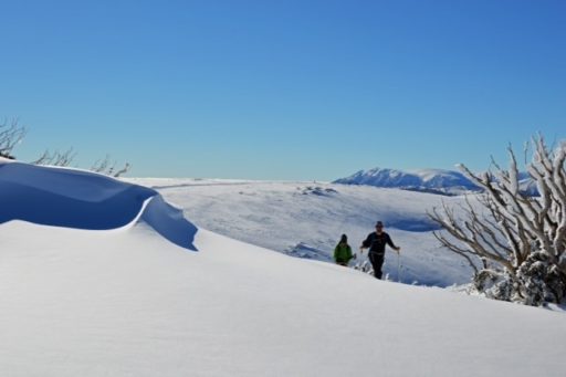 Back Country Turns Falls Creek