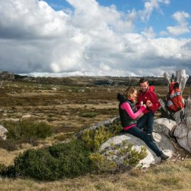 Bogong High Plains walking tracks