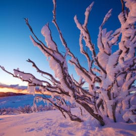 Falls Creek snow scene