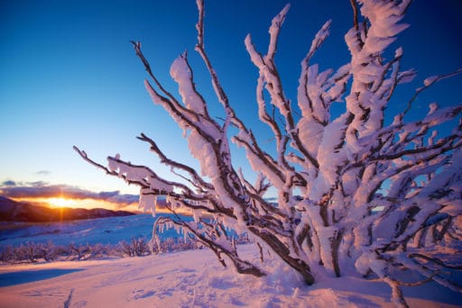 Falls Creek snow scene