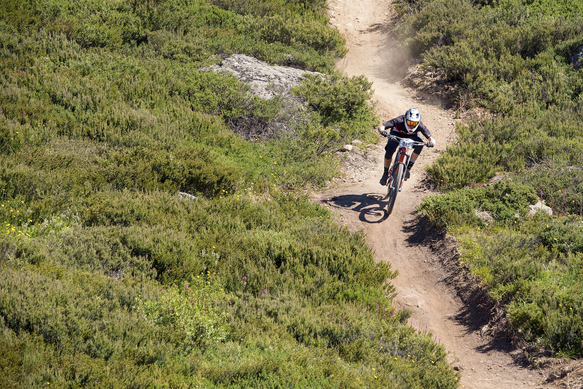 Falls-Creek-summer-MTB-Matt-Rousu-6