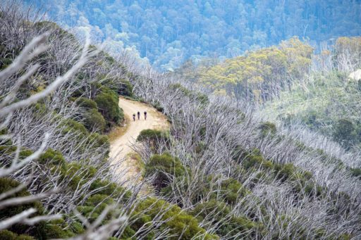 Gravel riding at Falls Creek