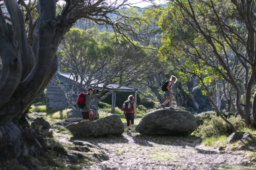 Falls-Creek-summer-hiking-Charlie-Brown-2020-20 (1)