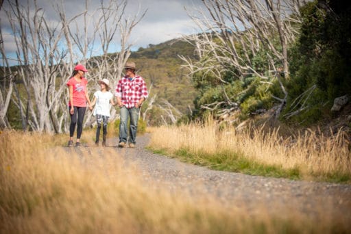 Falls Creek Summer Hiking Family