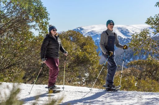 Falls Creek Snowshoeing on a Sunny Day