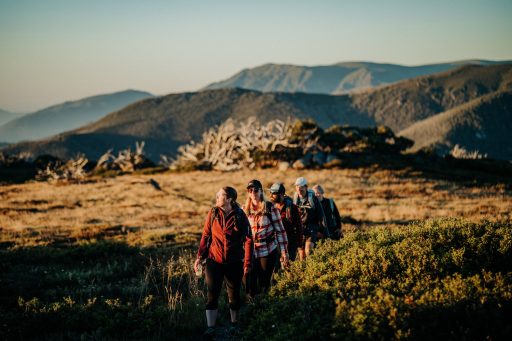 Hiking and Trail Running at Falls Creek along Frying Pan Spur