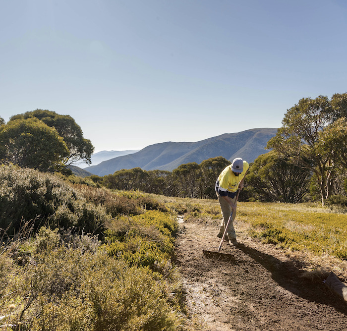 Mountain Biking MTB Trail Report