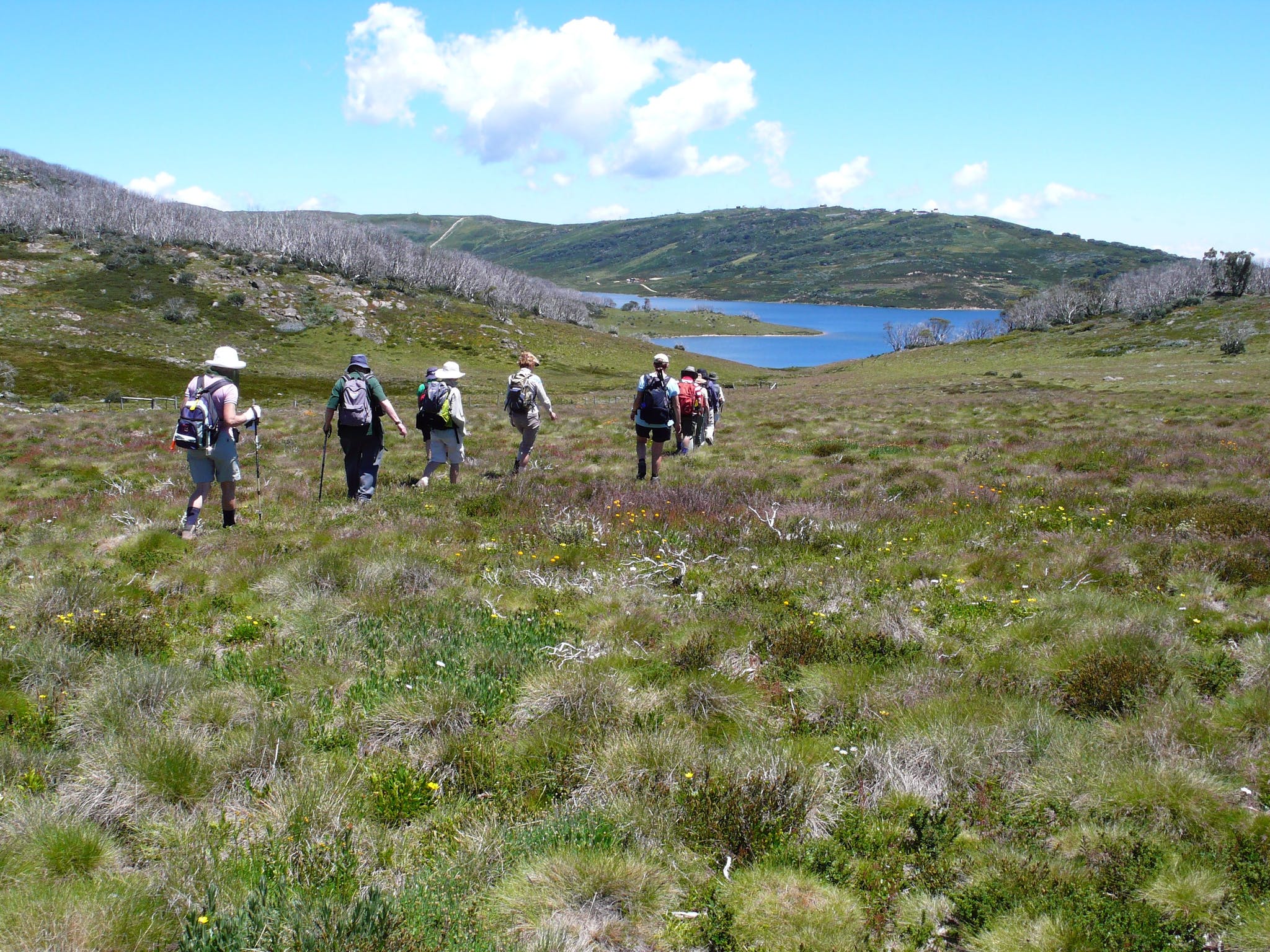 Great Alpine Walk