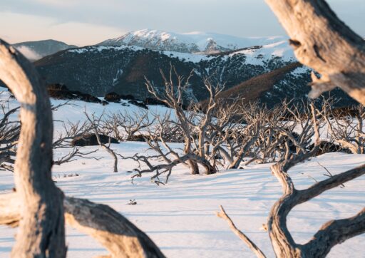 Frying Pan Spur View to Mt Bogong