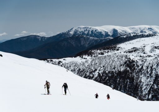 Mt McKay View to Mt Bogong