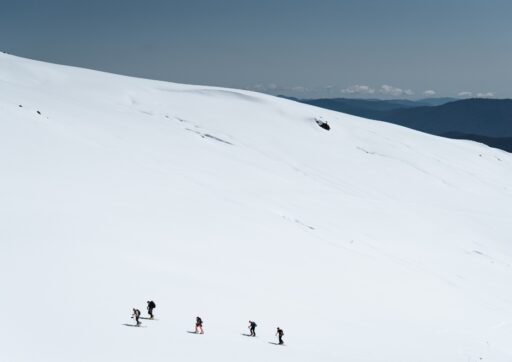 Mt McKay