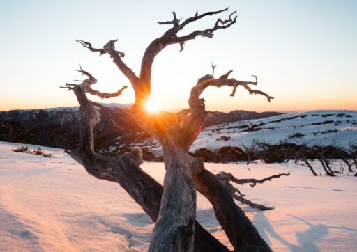 Falls Creek Backcountry Sunset