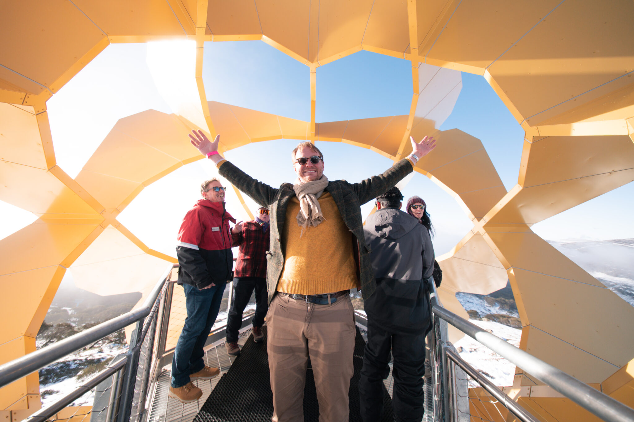 Flower of the Alpine Sun Officially Launched at Falls Creek - Falls ...