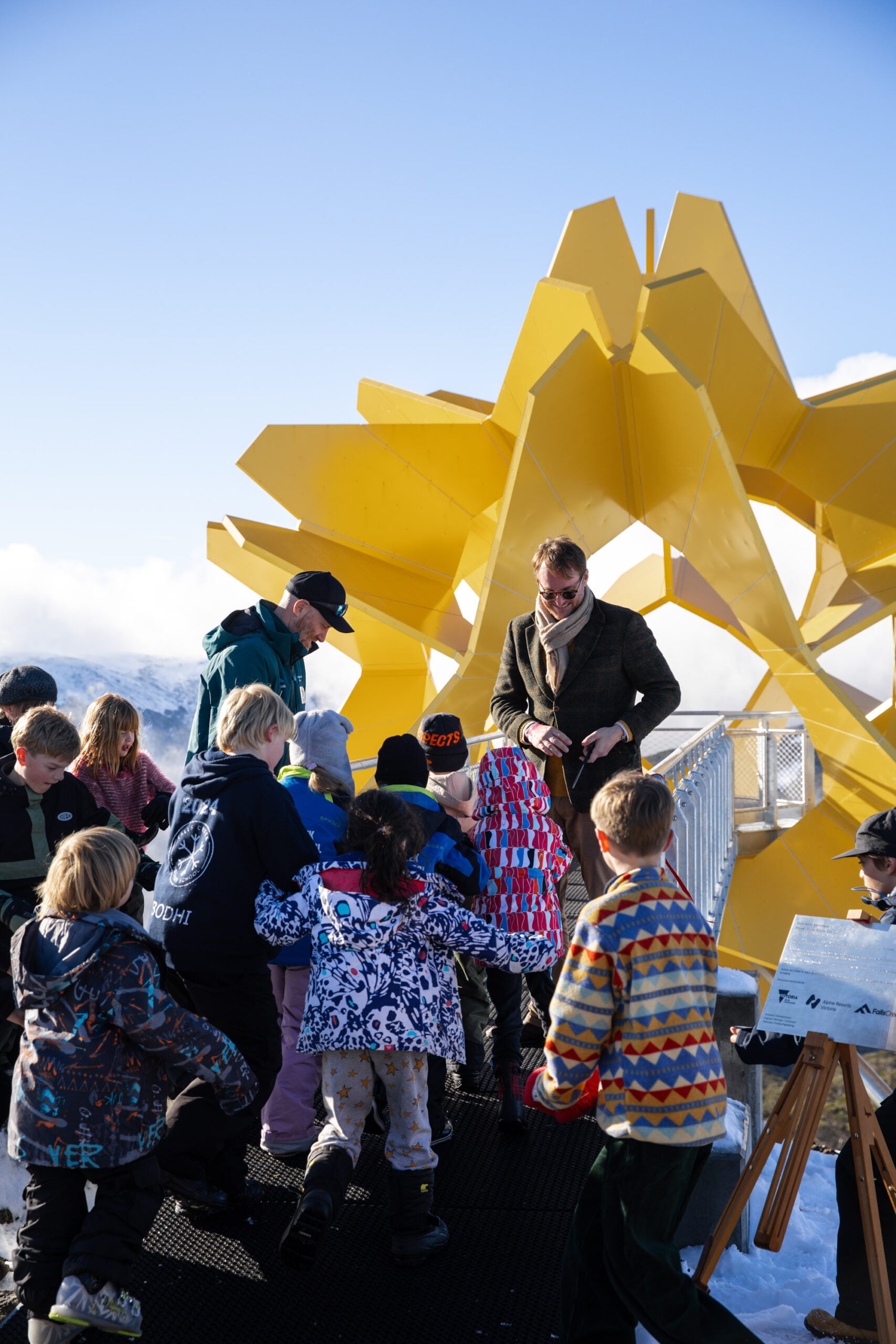 Flower of the Alpine Sun Officially Launched at Falls Creek - Falls ...
