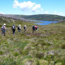 Great Alpine Walk